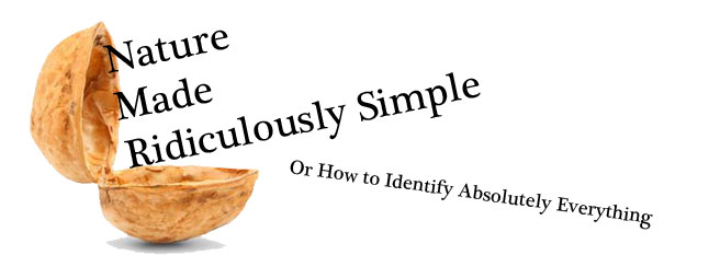 Nature made Ridiculously Simple